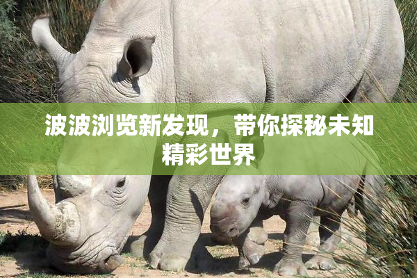 波波浏览新发现，带你探秘未知精彩世界