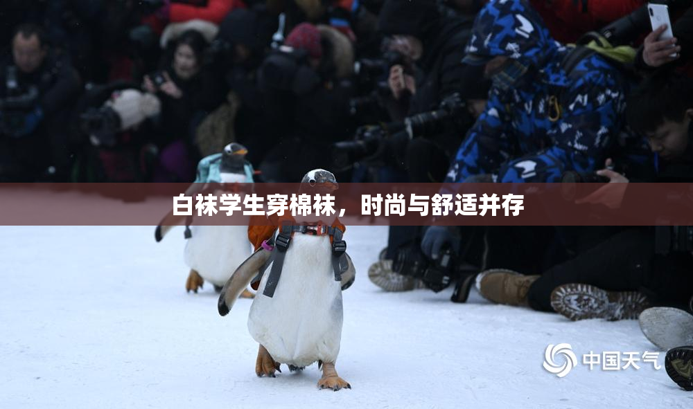 白袜学生穿棉袜，时尚与舒适并存