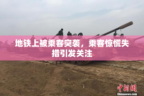 地铁上被乘客突袭，乘客惊慌失措引发关注
