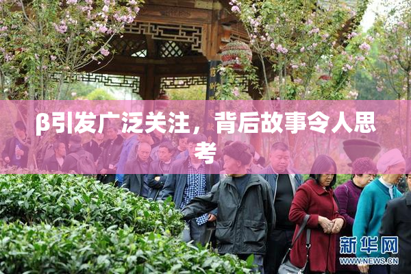 β引发广泛关注，背后故事令人思考