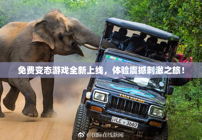 免费变态游戏全新上线，体验震撼刺激之旅！