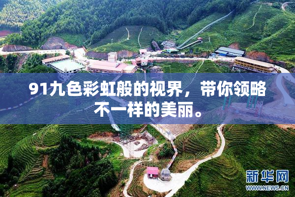 91九色彩虹般的视界，带你领略不一样的美丽。