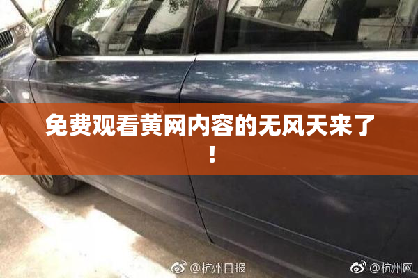 免费观看黄网内容的无风天来了！