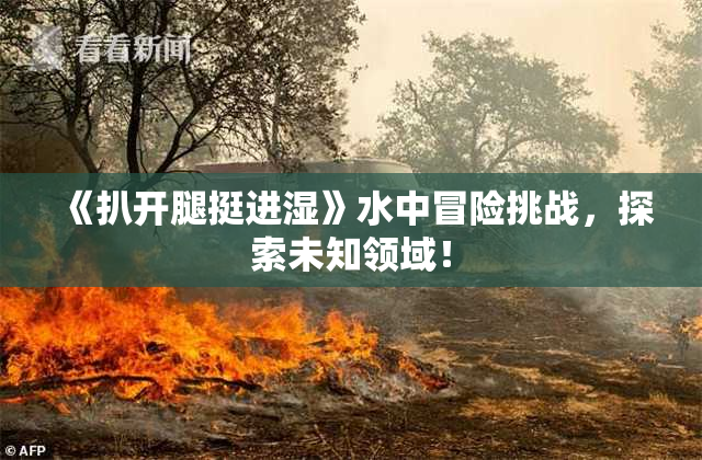 《扒开腿挺进湿》水中冒险挑战，探索未知领域！