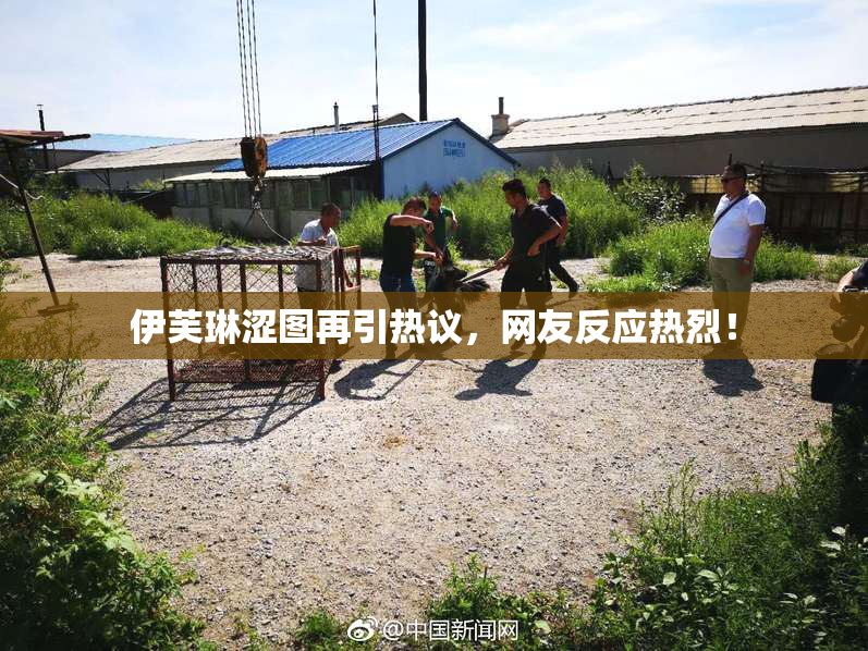 伊芙琳涩图再引热议，网友反应热烈！