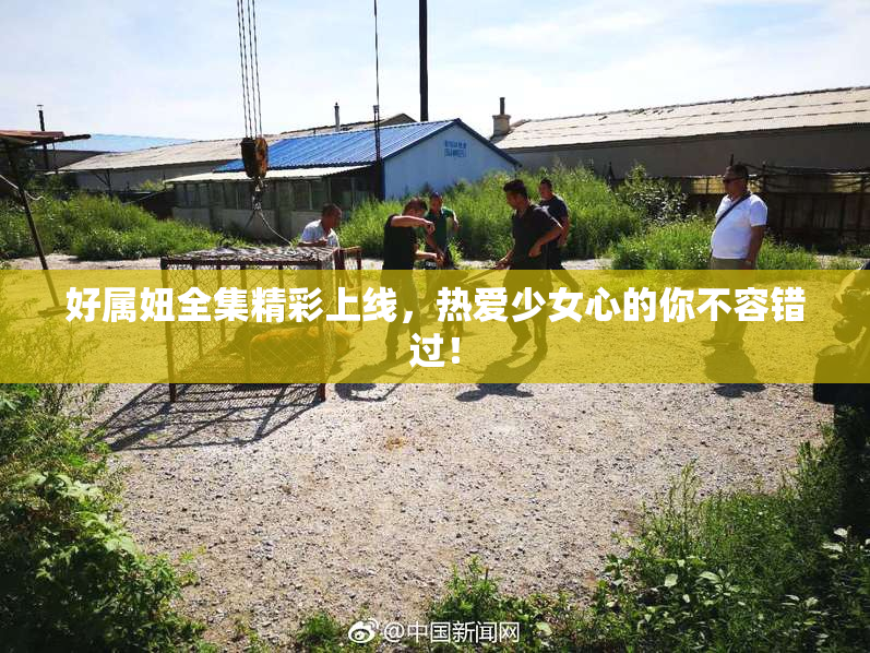 好属妞全集精彩上线，热爱少女心的你不容错过！