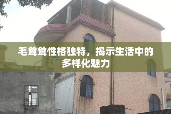 毛耸耸性格独特，揭示生活中的多样化魅力