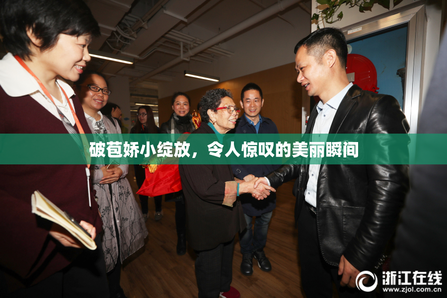 破苞娇小绽放，令人惊叹的美丽瞬间