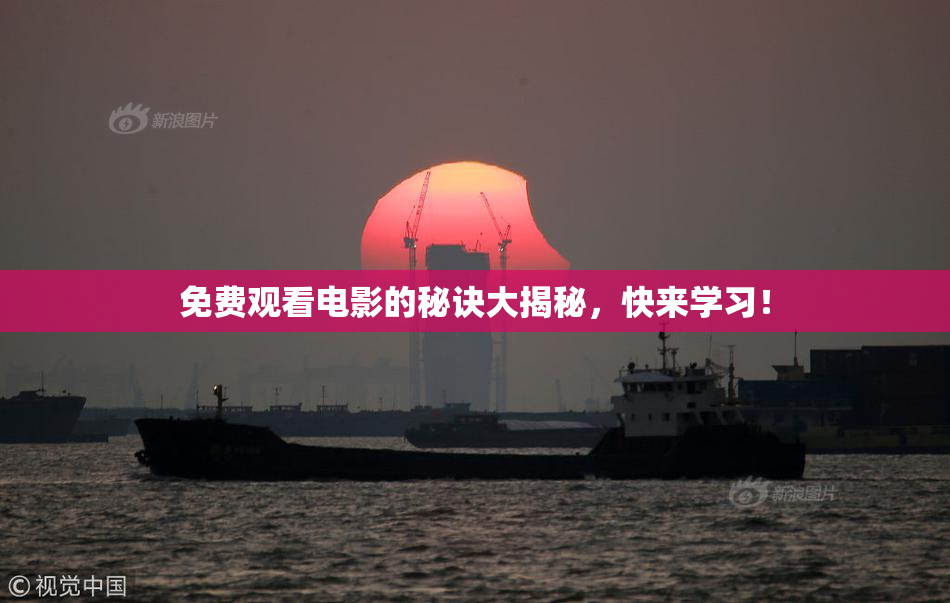 免费观看电影的秘诀大揭秘，快来学习！