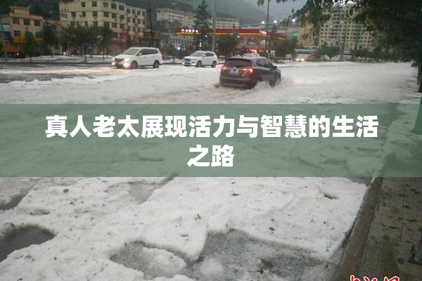 真人老太展现活力与智慧的生活之路
