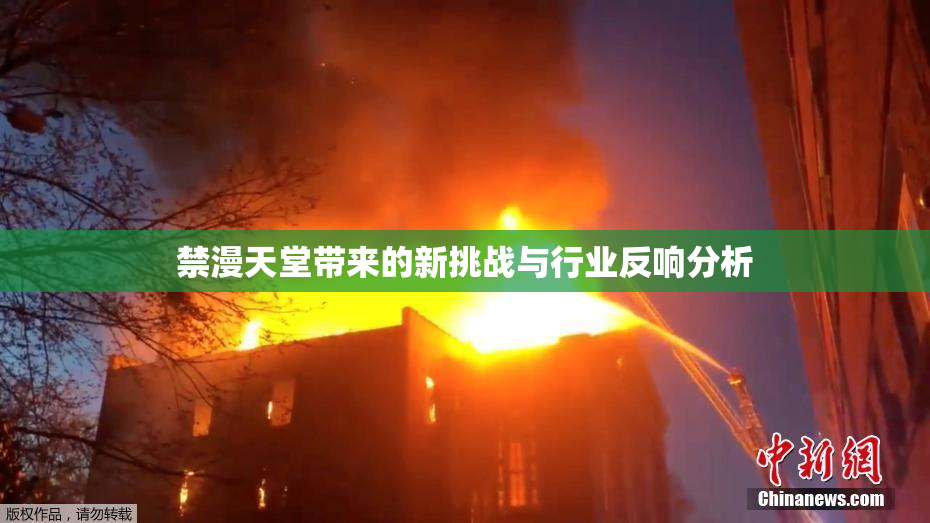 禁漫天堂带来的新挑战与行业反响分析