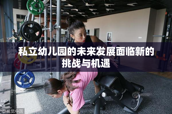 私立幼儿园的未来发展面临新的挑战与机遇