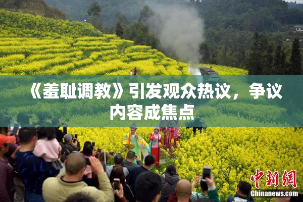 《羞耻调教》引发观众热议，争议内容成焦点