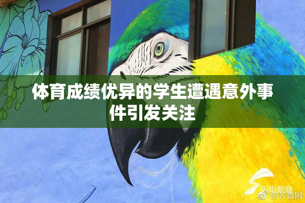 体育成绩优异的学生遭遇意外事件引发关注