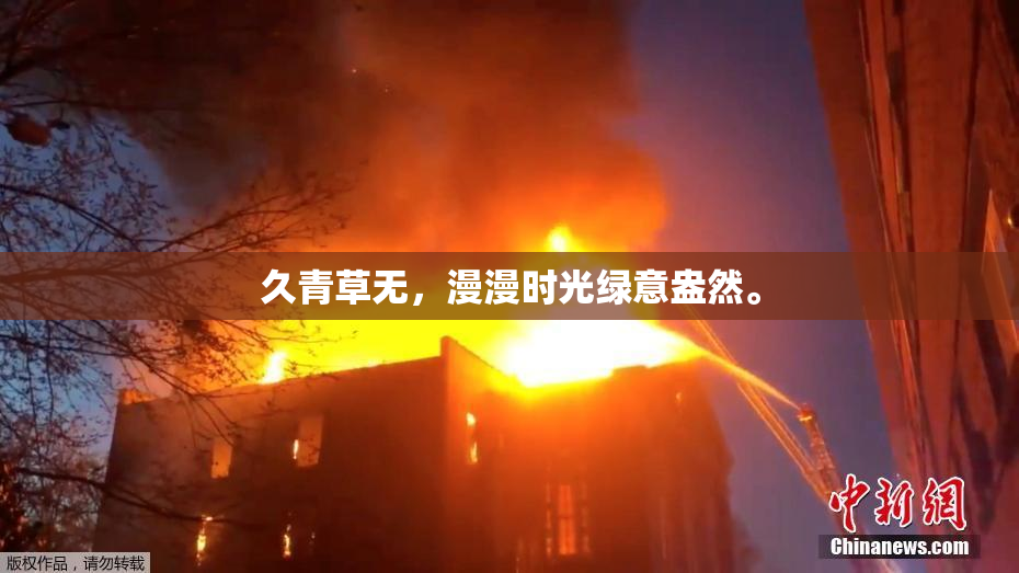久青草无，漫漫时光绿意盎然。