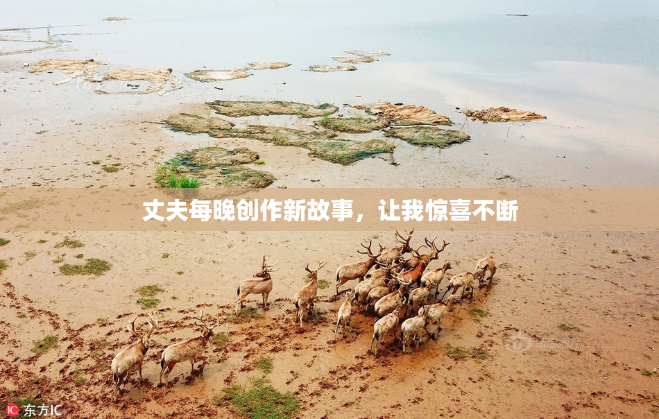 丈夫每晚创作新故事，让我惊喜不断