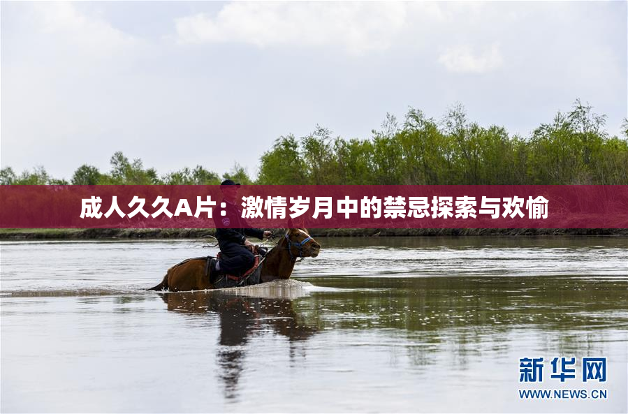 成人久久A片：激情岁月中的禁忌探索与欢愉