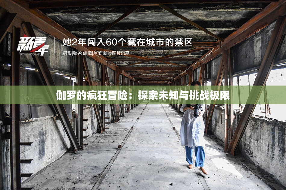 伽罗的疯狂冒险：探索未知与挑战极限