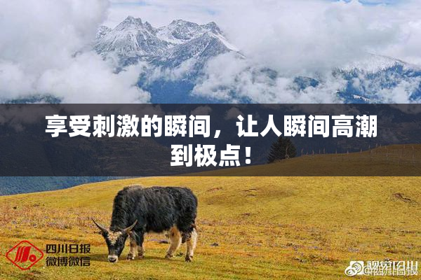 享受刺激的瞬间，让人瞬间高潮到极点！