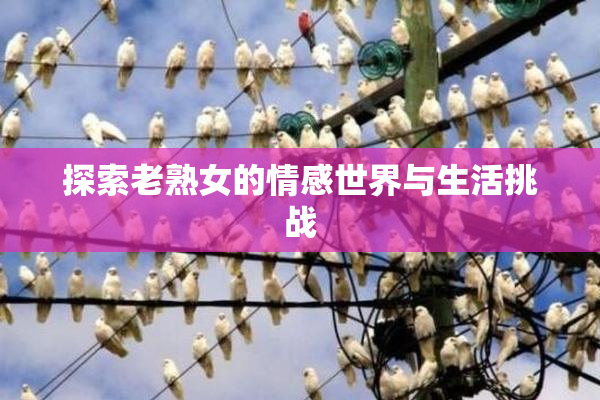 探索老熟女的情感世界与生活挑战