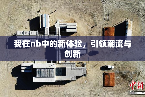 我在nb中的新体验，引领潮流与创新
