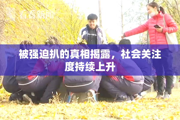 被强迫扒的真相揭露，社会关注度持续上升