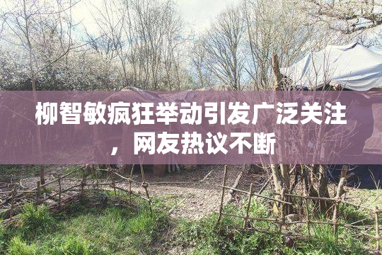 柳智敏疯狂举动引发广泛关注，网友热议不断