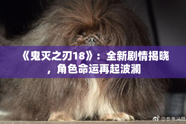 《鬼灭之刃18》：全新剧情揭晓，角色命运再起波澜