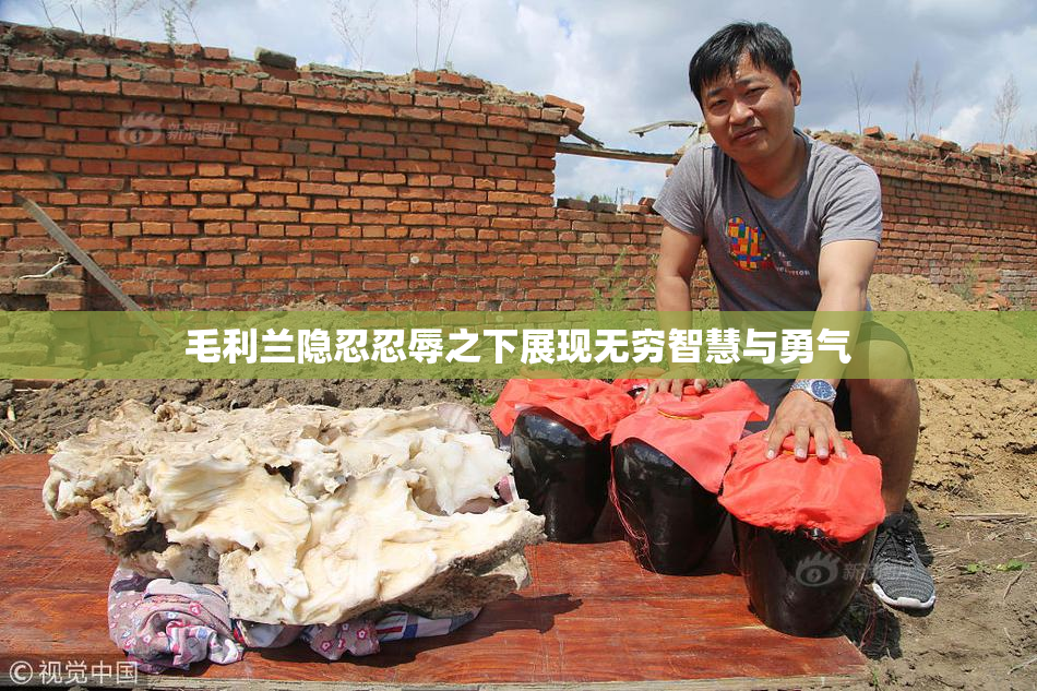 毛利兰隐忍忍辱之下展现无穷智慧与勇气
