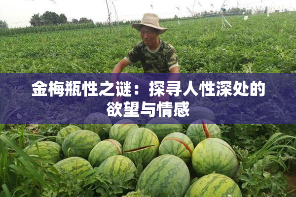 金梅瓶性之谜：探寻人性深处的欲望与情感