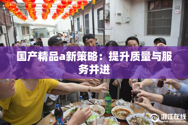国产精品a新策略：提升质量与服务并进