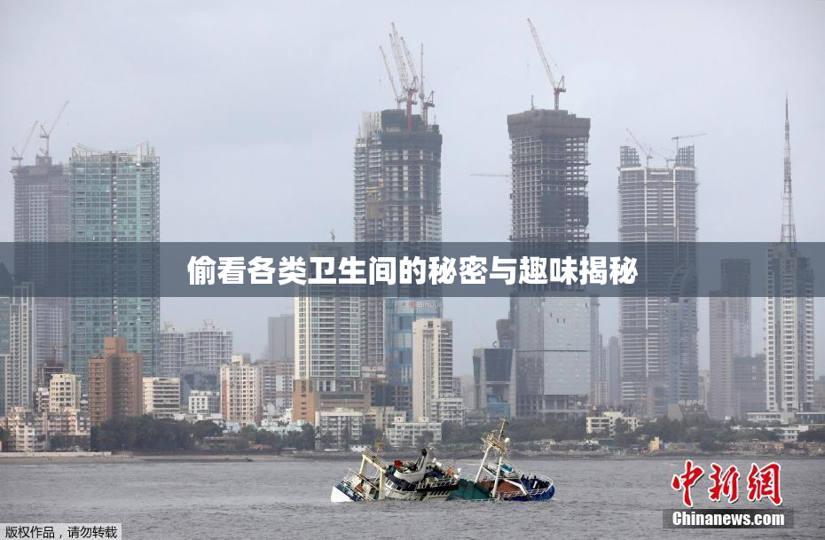 偷看各类卫生间的秘密与趣味揭秘