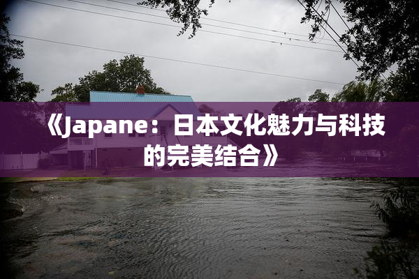 《Japane：日本文化魅力与科技的完美结合》