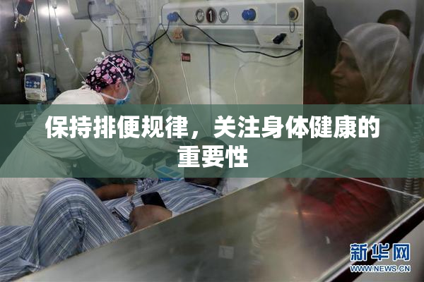 保持排便规律，关注身体健康的重要性