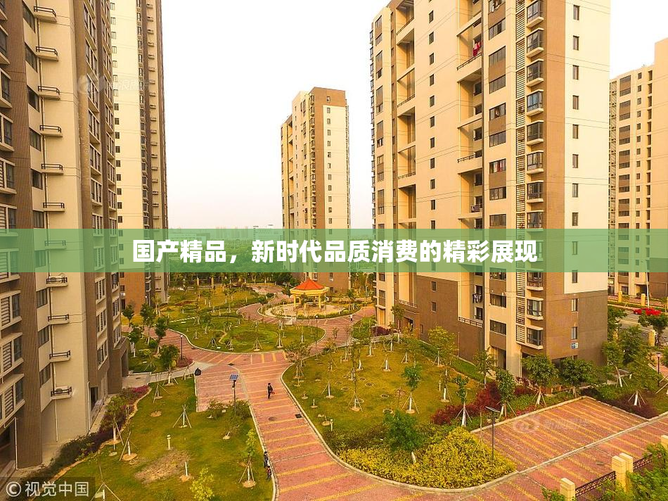 国产精品，新时代品质消费的精彩展现