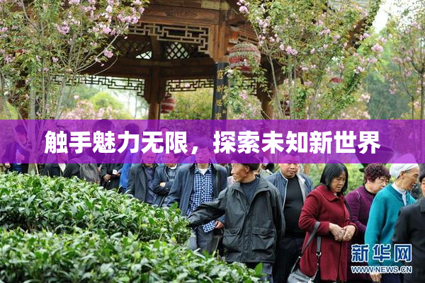 触手魅力无限，探索未知新世界