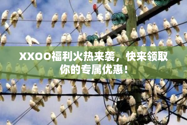 XXOO福利火热来袭，快来领取你的专属优惠！