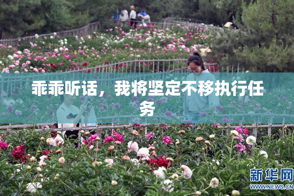 乖乖听话，我将坚定不移执行任务