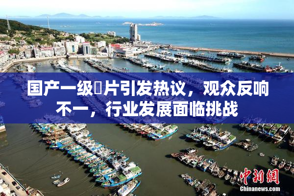 国产一级婬片引发热议，观众反响不一，行业发展面临挑战