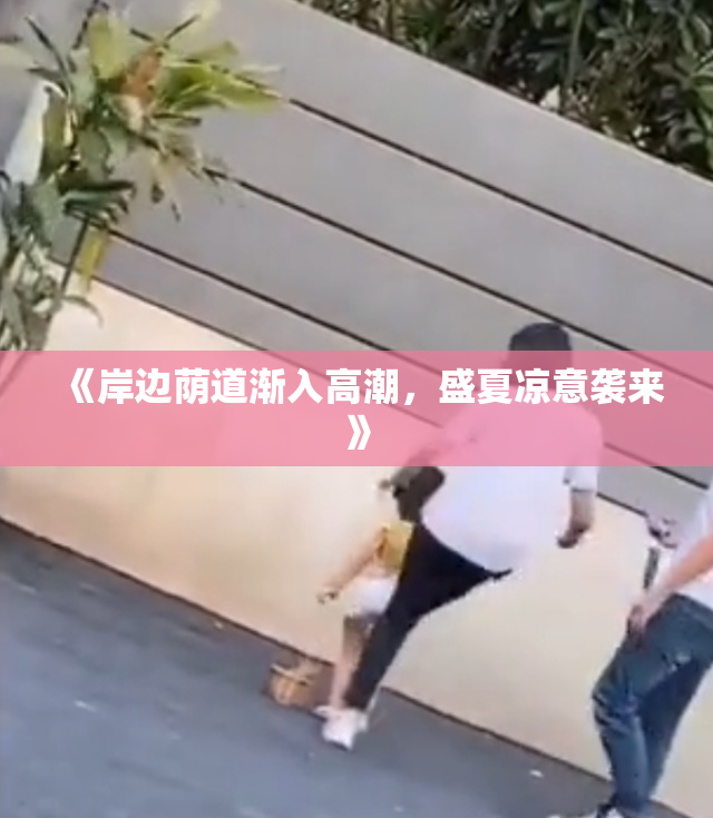 《岸边荫道渐入高潮，盛夏凉意袭来》