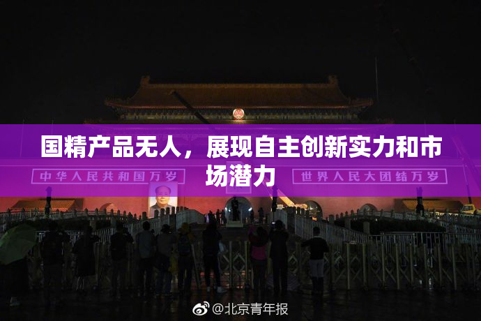 国精产品无人，展现自主创新实力和市场潜力