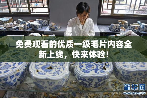 免费观看的优质一级毛片内容全新上线，快来体验！