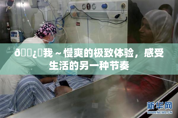 🌿‌我～慢爽的极致体验，感受生活的另一种节奏