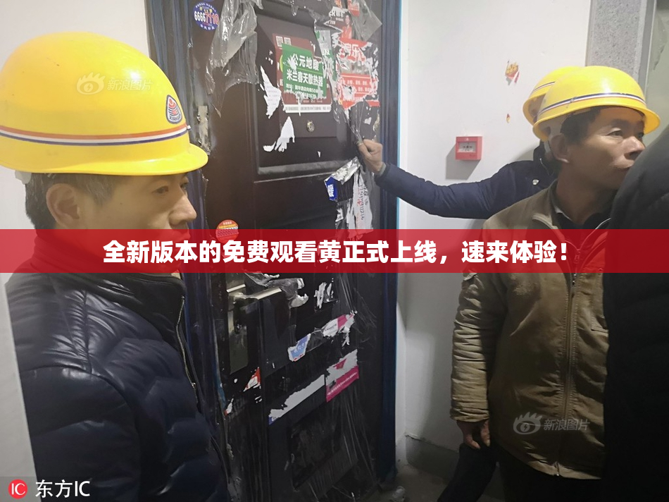 全新版本的免费观看黄正式上线，速来体验！