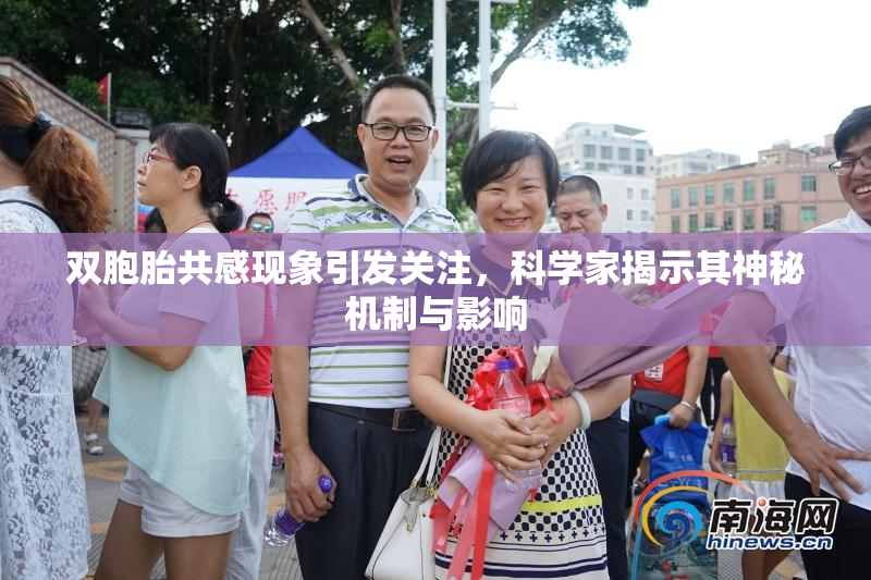 双胞胎共感现象引发关注，科学家揭示其神秘机制与影响