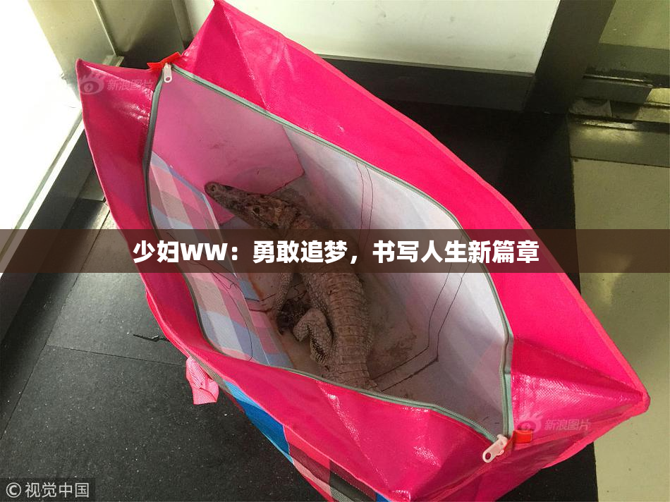 少妇WW：勇敢追梦，书写人生新篇章