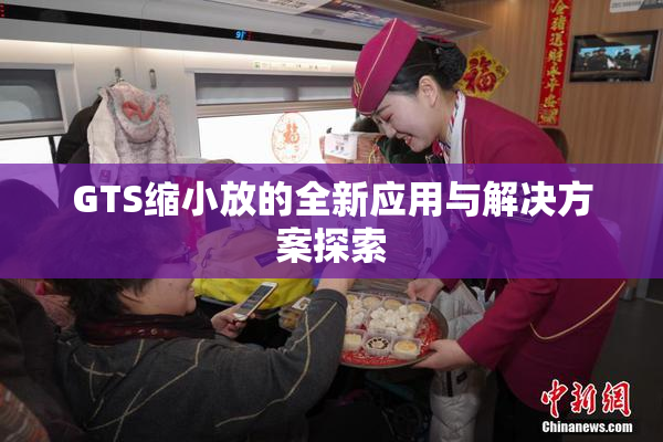 GTS缩小放的全新应用与解决方案探索