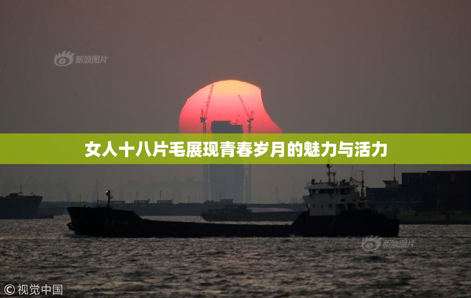 女人十八片毛展现青春岁月的魅力与活力