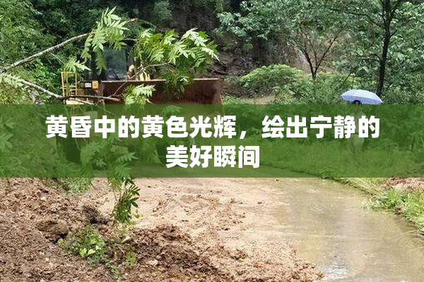 黄昏中的黄色光辉，绘出宁静的美好瞬间