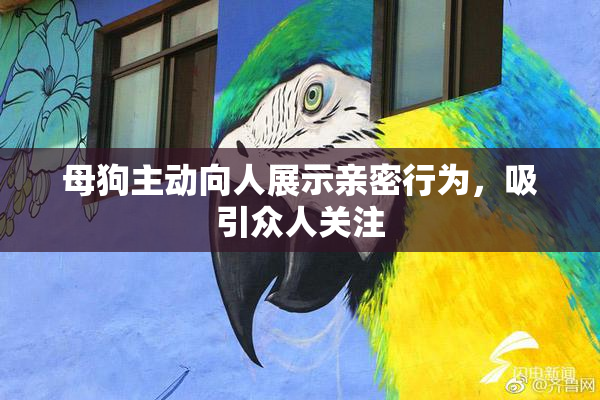 母狗主动向人展示亲密行为，吸引众人关注